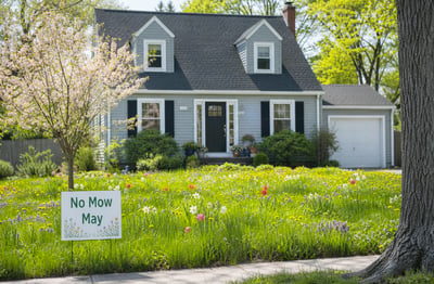 No Mow May