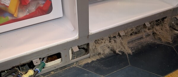 PXL_20260422_164240092-1